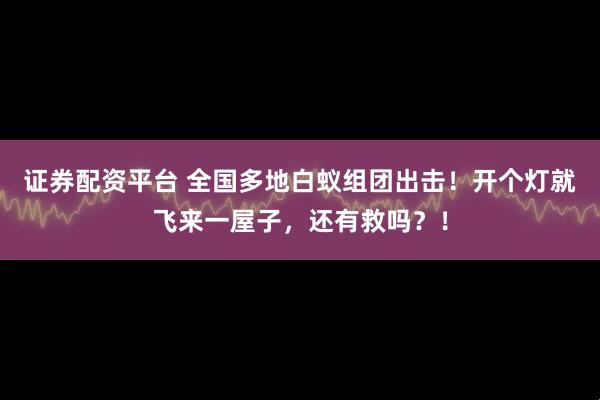 证券配资平台 全国多地白蚁组团出击！开个灯就飞来一屋子，还有救吗？！